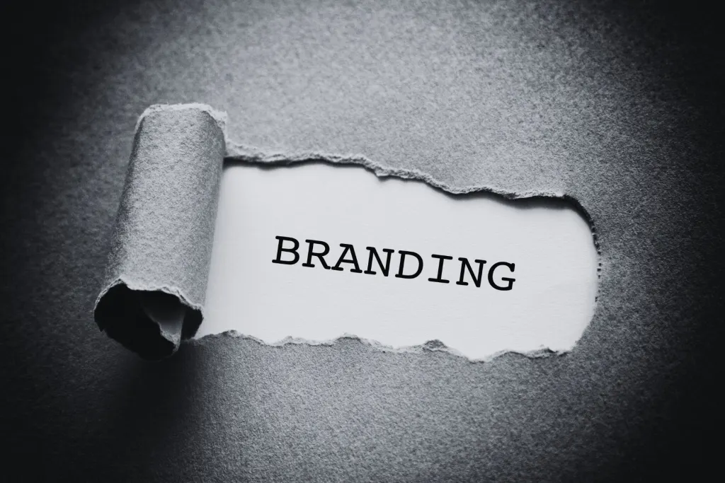loja mudou branding