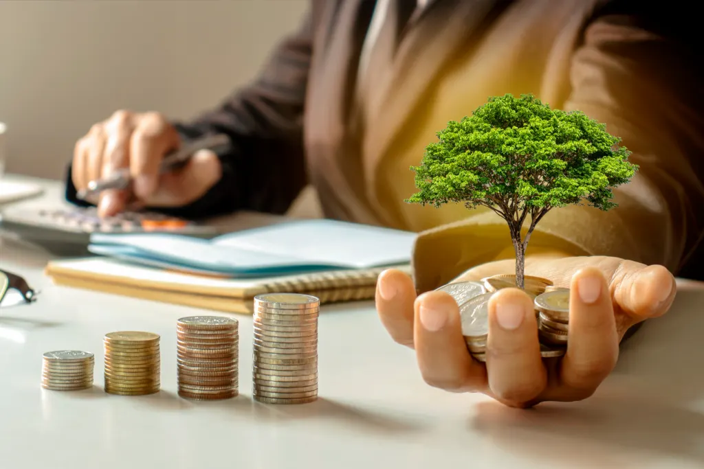 baixo investimento com shopify